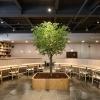 俊侑員工餐廳空間攝影 | photo by 光合作攝 Coofoto Works