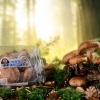 Koobaby 菇寶寶 產品攝影 | photo by 光合作攝 Coofoto Works